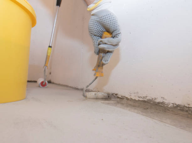 Best Termite Inspection and Treatment  in West Hattiesburg, MS